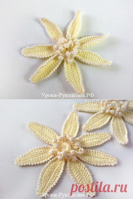 ИРЛАНДСКОЕ КРУЖЕВО ЦВЕТОК ЛОТОС