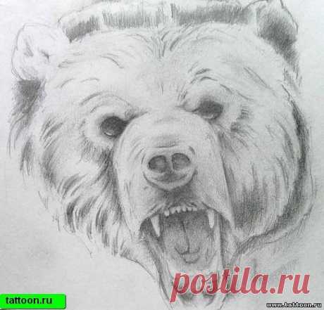Эскизы тату Медведи - Фотоальбом - www.tattoon.ru Оборудование для татуировки, эскизы тату