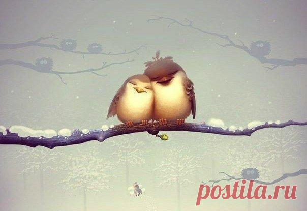 - На что я тебе?
- На всю жизнь