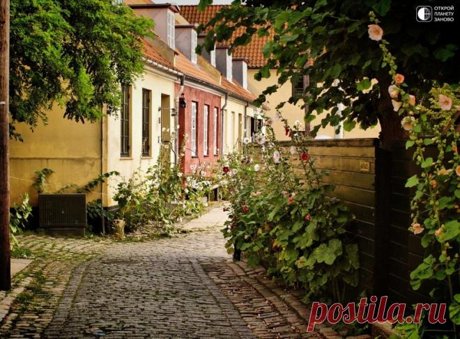 Симпатичная деревня с желтыми домиками - Драгёр - Путешествуем вместе