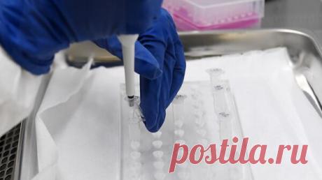 В Туве обнаружили очаг заражения бруцеллезом