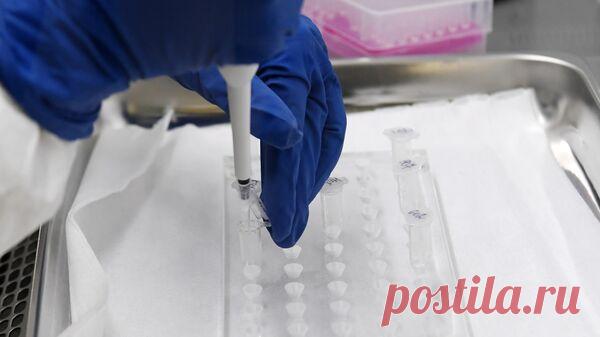 В Туве обнаружили очаг заражения бруцеллезом