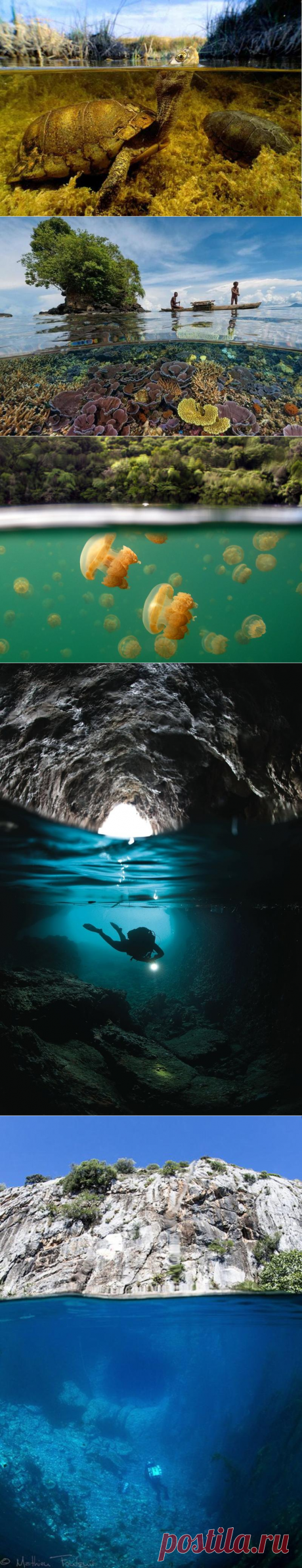 34 невероятные фотографии, показывающие, что скрывается под поверх ... | Golbis