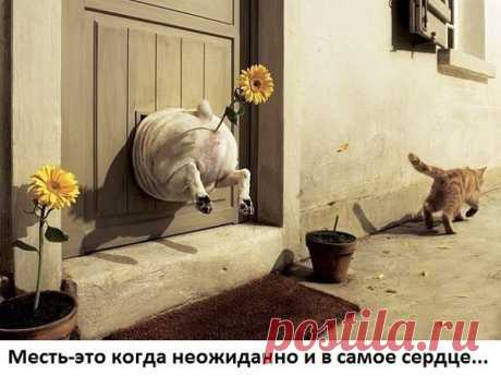 (1) Смех сквозь хохот добавил(-а) новое фото. - Смех сквозь хохот
