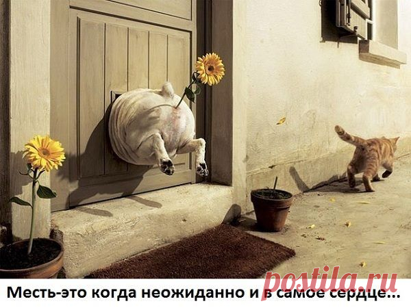 (1) Смех сквозь хохот добавил(-а) новое фото. - Смех сквозь хохот