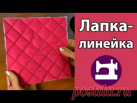 Лапка-линейка.