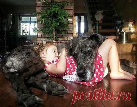 Он выслушал молча про радость и горе, дыру в новом , про гвоздик в заборе..... Про куклу, что ей не купили совсем..... Тихонько вздохнул... И УКРЫЛ ОТ ПРОБЛЕМ.