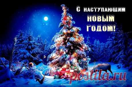 Плейкаст «Пусть Новый Год приносит только Счастье.»