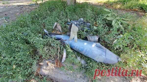В Донецке дерево спасло многоквартирный дом от прямого попадания снаряда
