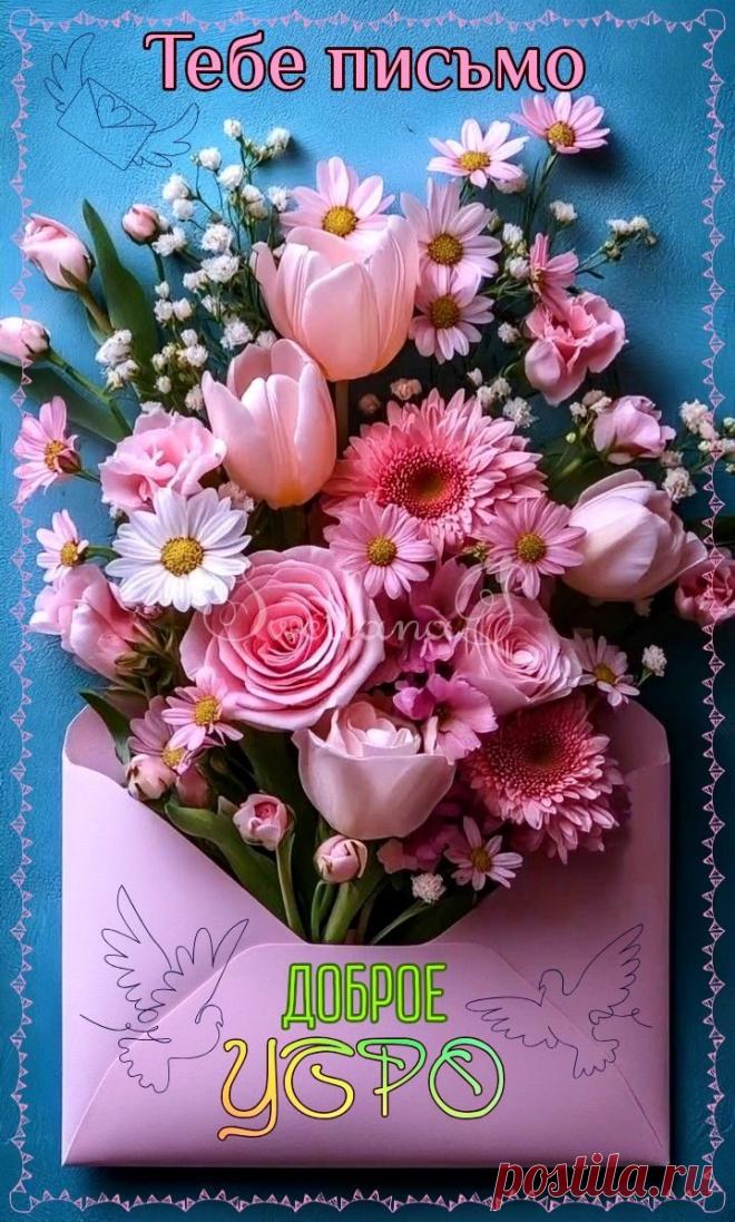 С добрым утром Привет Здрасте Добрый день