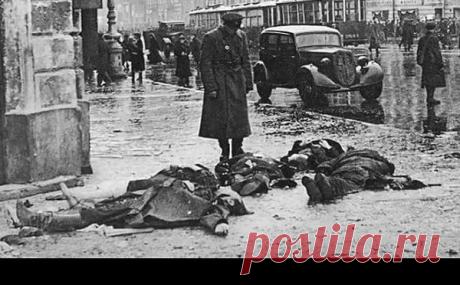 Чем приходилось питаться людям в блокадном Ленинграде? | Pravdoiskatel