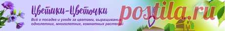 Как посадить петунию на рассаду правильно в домашних условиях Видео