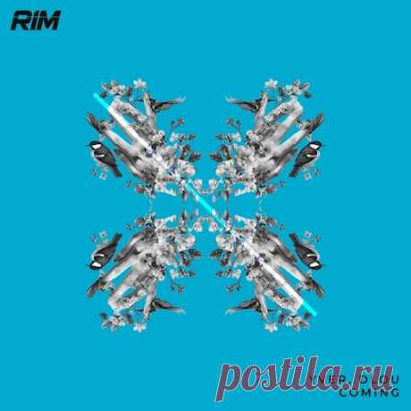 YVER, Dlou – Coming [RIM194]