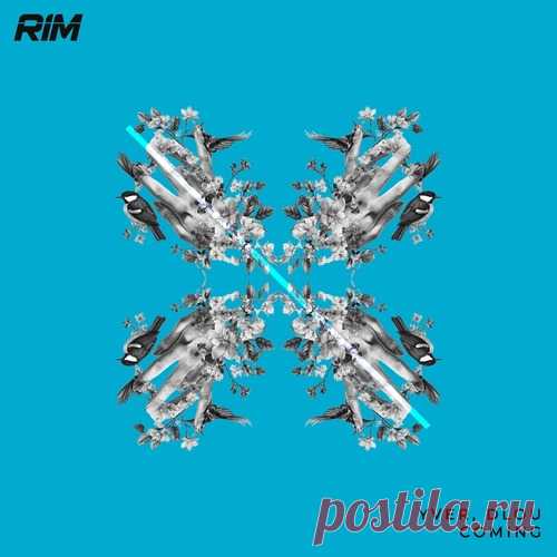 YVER, Dlou – Coming [RIM194]