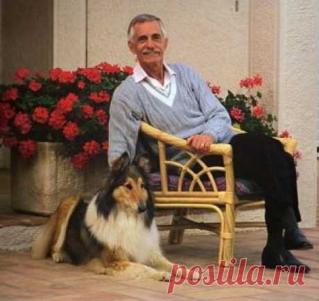 (53) Одноклассники