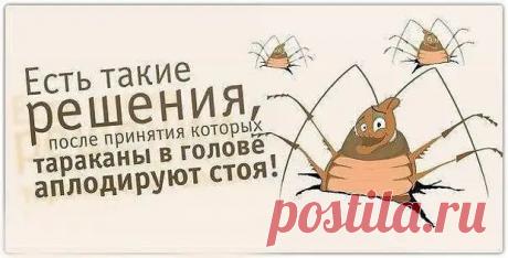 (30) Девочка прочитала на утреннике стих, которому её научил дедушка. Зал впал в ступор! - ДОСТОЙНАЯ ЖИЗНЬ НА ПЕНСИИ - 7 декабря - 43725711400 - Медиаплатформа МирТесен