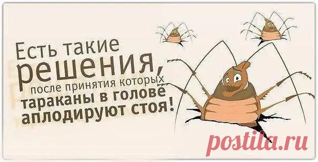 (30) Девочка прочитала на утреннике стих, которому её научил дедушка. Зал впал в ступор! - ДОСТОЙНАЯ ЖИЗНЬ НА ПЕНСИИ - 7 декабря - 43725711400 - Медиаплатформа МирТесен
