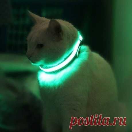 Неоновый ошейник / Взлом логики