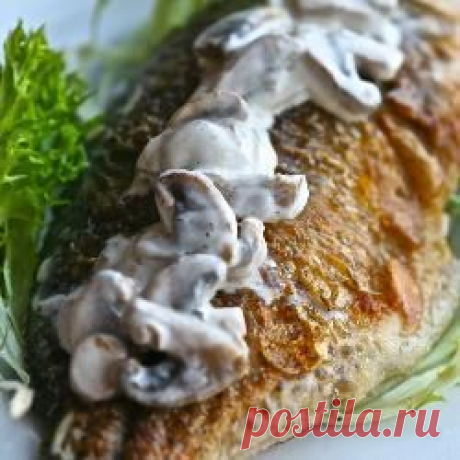 Киоск кулинарных рецептов