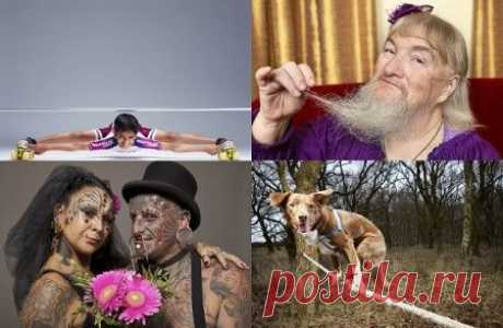 Интересные Рекорды Гиннеса 2015. Фото. Видео. | Планета фактов
