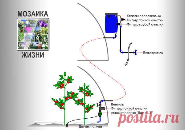 Теплица. Автополив | Блоги о даче, рецептах, рыбалке
