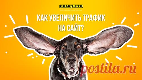 Как увеличить трафик на сайт в 2 раза за счет «ненужных запросов». Эффективный способ, который приносит клиентов и не засоряет сайт SEO-текстами - Блог Маркетинговой Группы 