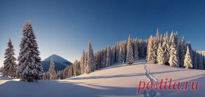 35PHOTO - Андрій Плясун - Снегами на г. Сыняк