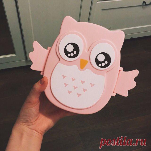 Пластиковый контейнер «Сова» | iTao the Best