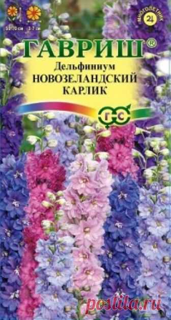 Семена. Дельфиниум махровый "Новозеландский Карлик", смесь (3 штуки) Всхожесть: 83%.
Карликовая смесь знаменитых новозеландских дельфиниумов. Растения высотой 50-70 см абсолютно не нуждаются в опоре: толстые, сильные стебли с плотными соцветиями из супермахровых крупных цветков. Густая темно-зеленая листва полностью закрывает нижнюю часть куста. Первое...