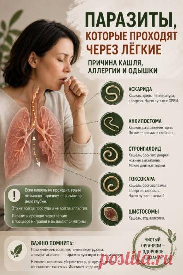 Паразиты которые проходят через легкие