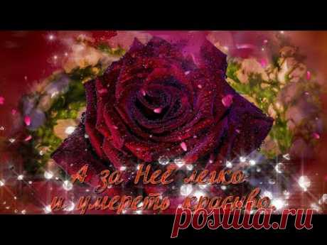 (1) Красивой Женщине–красивые слова,Красивой Женщине–красивые поступки! - YouTube