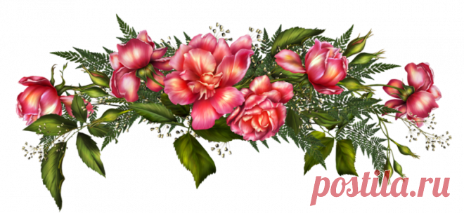 Цветы - Клипарты PNG - Клипарты у Анны.