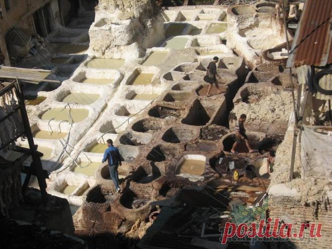 Марокко моими глазами. В Фесе живут и работают и другие мастера.