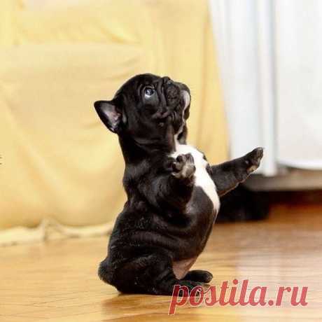 Pick me, pick me!