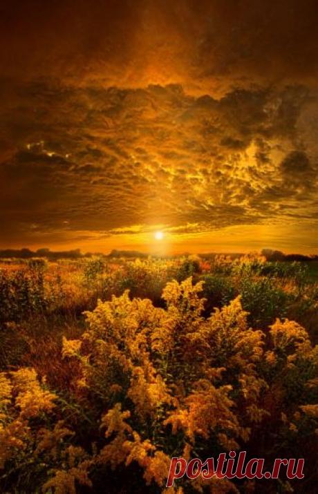 lijanaa: - Lights and Shadows