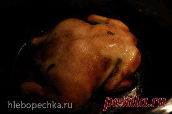 Курица в медовой глазури - ХЛЕБОПЕЧКА.РУ