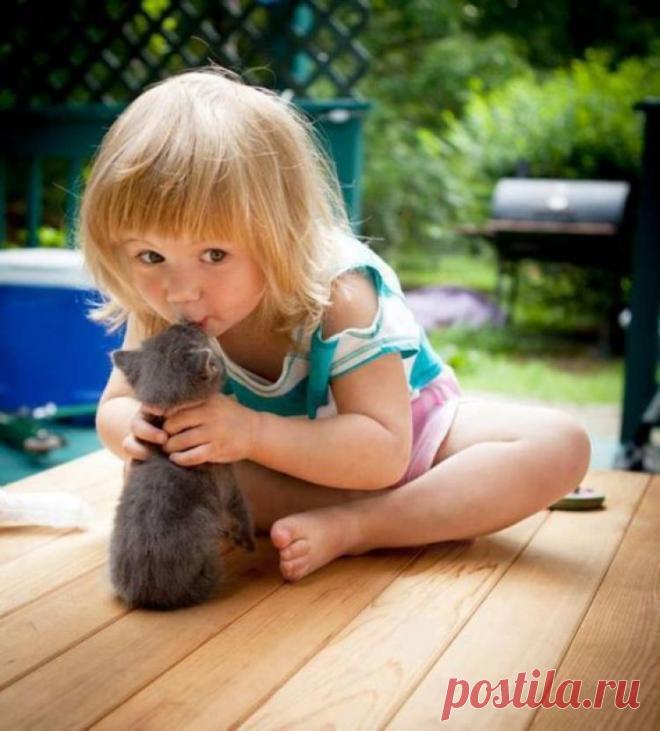 25 трогательных доказательств того, что дети и животные не могут жить друг без друга