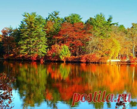 «ОСЕНЬ… НЕЖНОСТИ ТИХОЙ УЛЫБКА…».