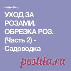 (4) Pinterest