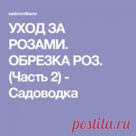(4) Pinterest