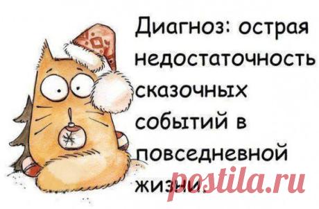 Прикольные фразочки в картинках))