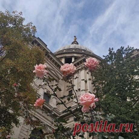 Сегодня в полночь по московскому времени завершится прием работ на фотоконкурс «Настоящая Британия». Загружайте ваши снимки на Nat-geo.ru или помечайте их хэштегом #GreatBritainNGR в Инстаграме. Посмотреть работы других фотографов и поучаствовать самому: nat-geo.ru/contest/nastoyashaya-britaniya/