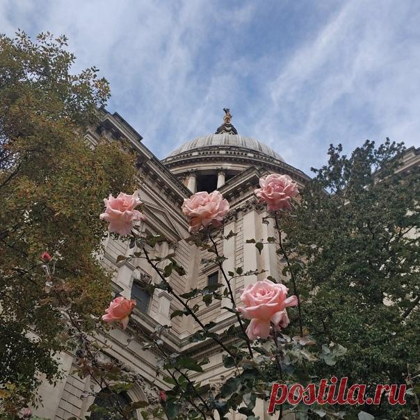 Сегодня в полночь по московскому времени завершится прием работ на фотоконкурс «Настоящая Британия». Загружайте ваши снимки на Nat-geo.ru или помечайте их хэштегом #GreatBritainNGR в Инстаграме. Посмотреть работы других фотографов и поучаствовать самому: nat-geo.ru/contest/nastoyashaya-britaniya/