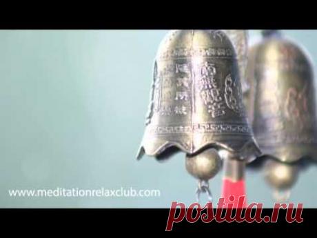 Relax | Relaxing Nature Sounds,Bird Songs,Water Sounds,Rain Forest,Music to Sleep - YouTube: звуки природы для сна,  глубокого расслабления, релаксации, терапии