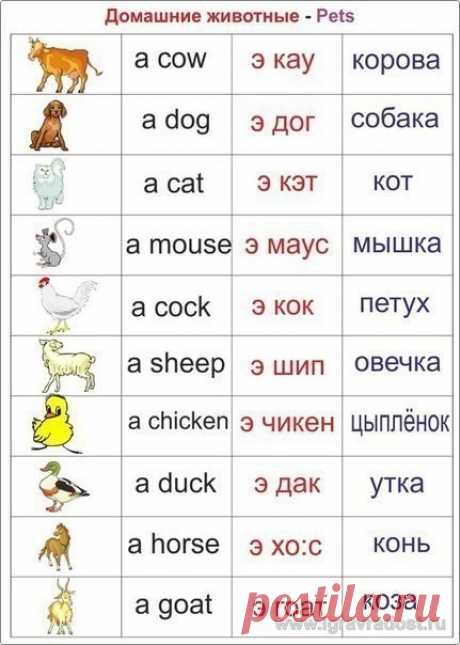 (24) Одноклассники