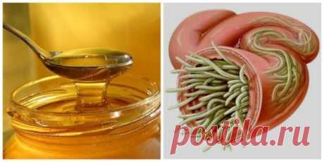 МЕДОВАЯ ВОДА - ОТ ПАРАЗИТОВ, И ПОМОЖЕТ ПОХУДЕТЬ !!!  **И многое другое.