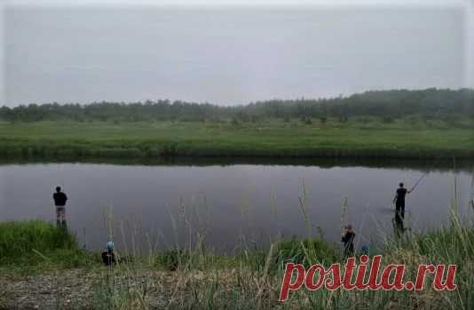 Возрождение  Они вышли на улицу и Глеб повел своего спутника на то место, откуда наблюдал небесное тело. К его удивлению ядро увеличилось, как минимум, на 20%,