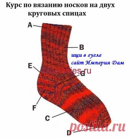 Дневник Montileda