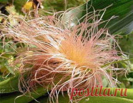 Новости - МирТесен