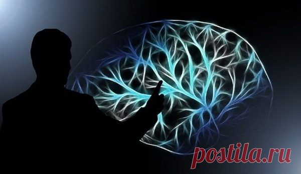5 эффективных способов улучшения памяти — Интересные факты